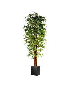 9ft rental bamboo tree with black planter base.  