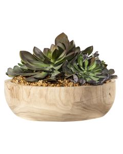 brown and green succulent decor bowl