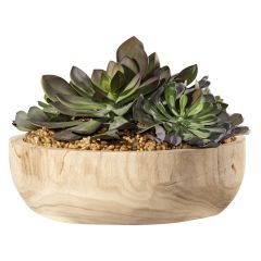 brown and green succulent decor bowl